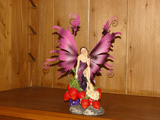 fairy_30