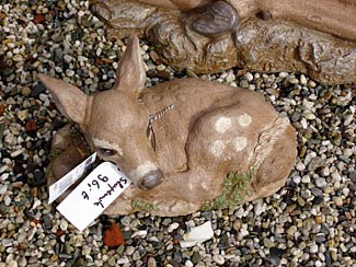 Henristudio bambi