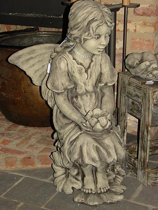 meisje engel