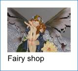 Fairies in de Fairy shop