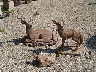 hert, ree, bambi